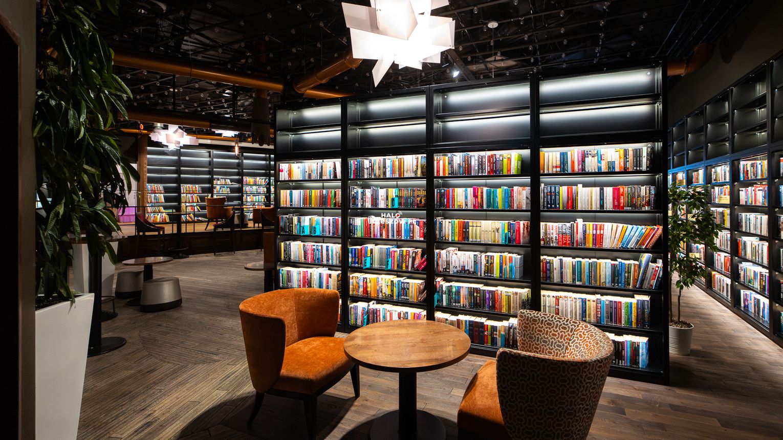 Rzeszów zaskakuje czytelników. Wielkie otwarci biblioteki w centrum handlowym!
