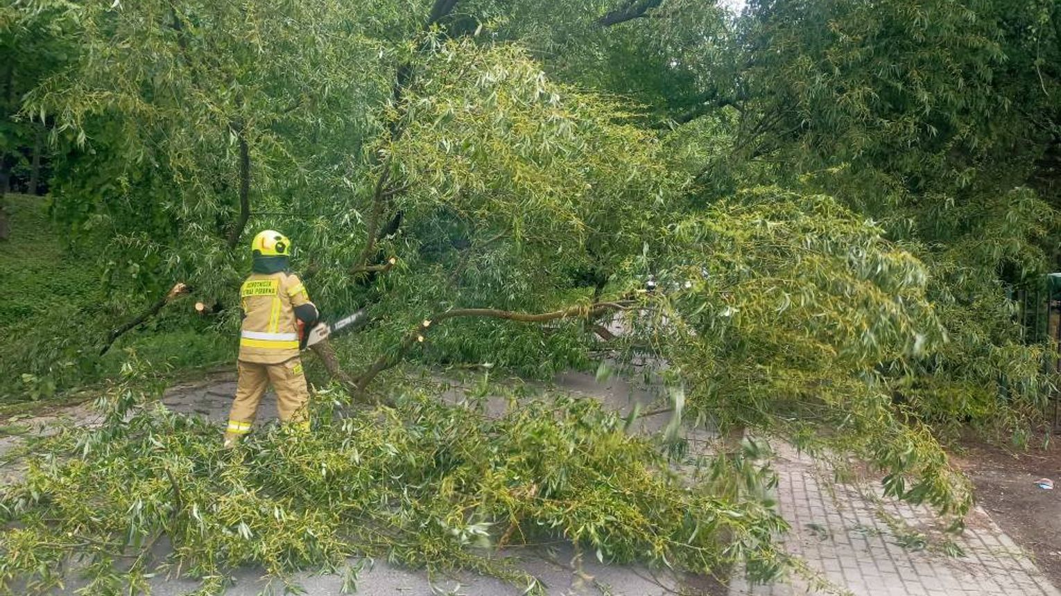 Skutki przelotnych opadów. Strażacy interweniowali w Niechobrzu