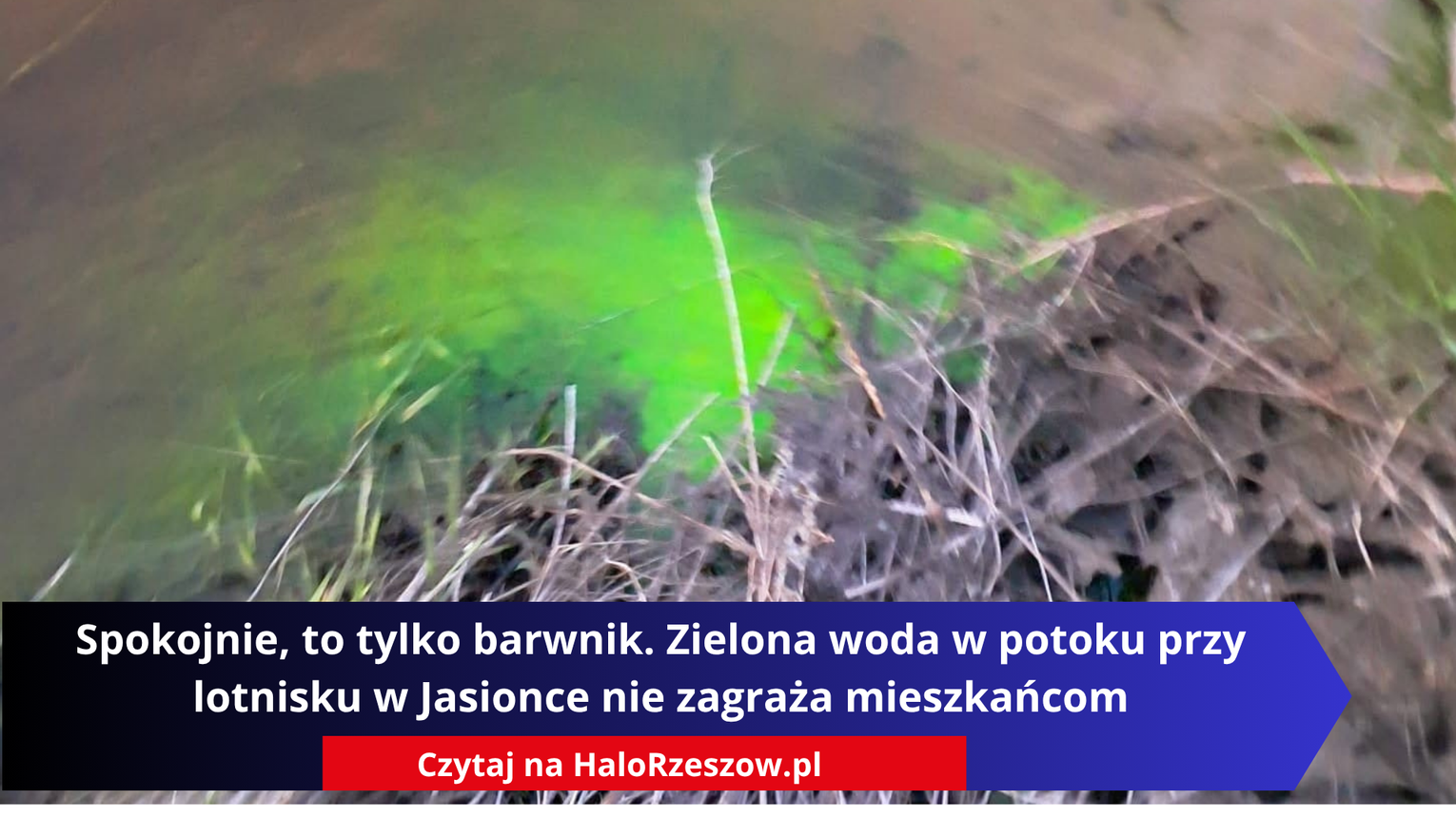 Spokojnie, to tylko barwnik. Zielona woda w potoku przy lotnisku w Jasionce nie zagraża mieszkańcom