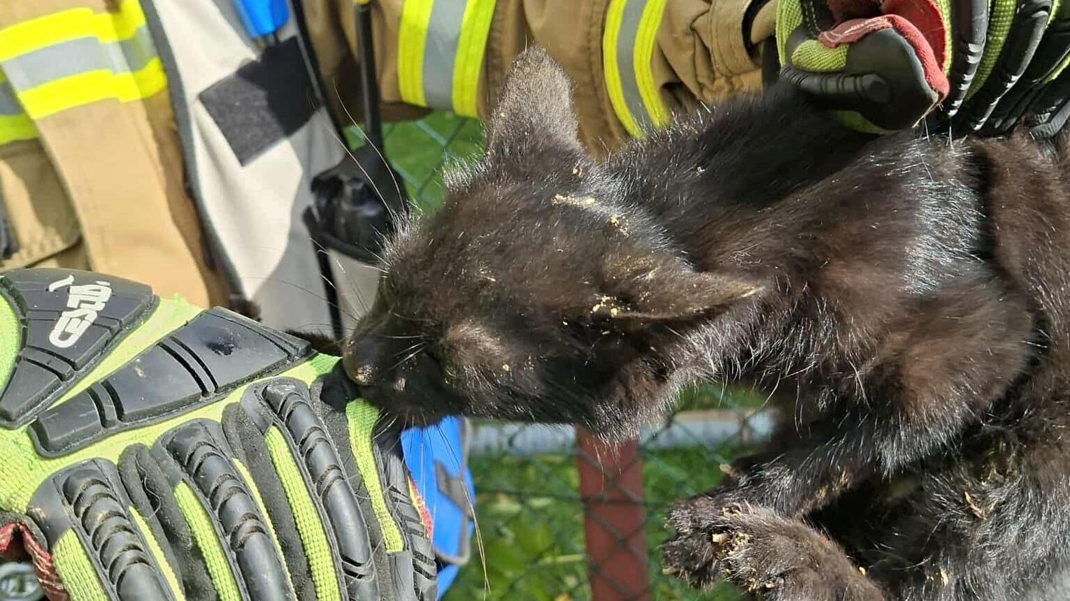 Strażacy z Narola uratowali kota, który wpadł do studni