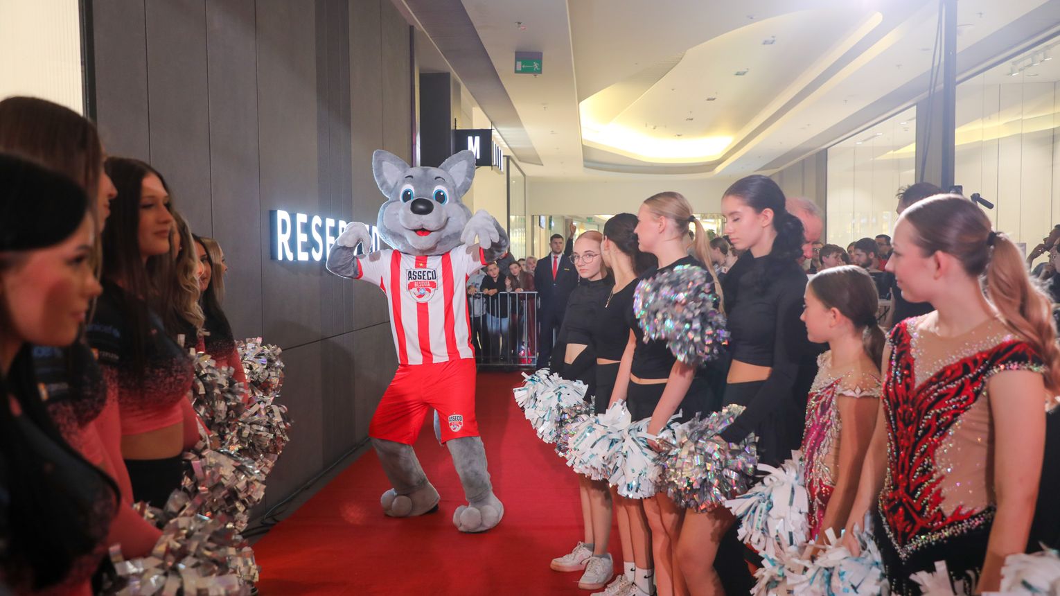 Wspólna prezentacja Asseco Resovii i DevelopResu przyciągnęła tłumy kibiców