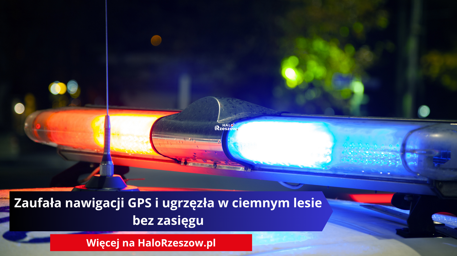 Zaufała nawigacji GPS i ugrzęzła w ciemnym lesie bez zasięgu