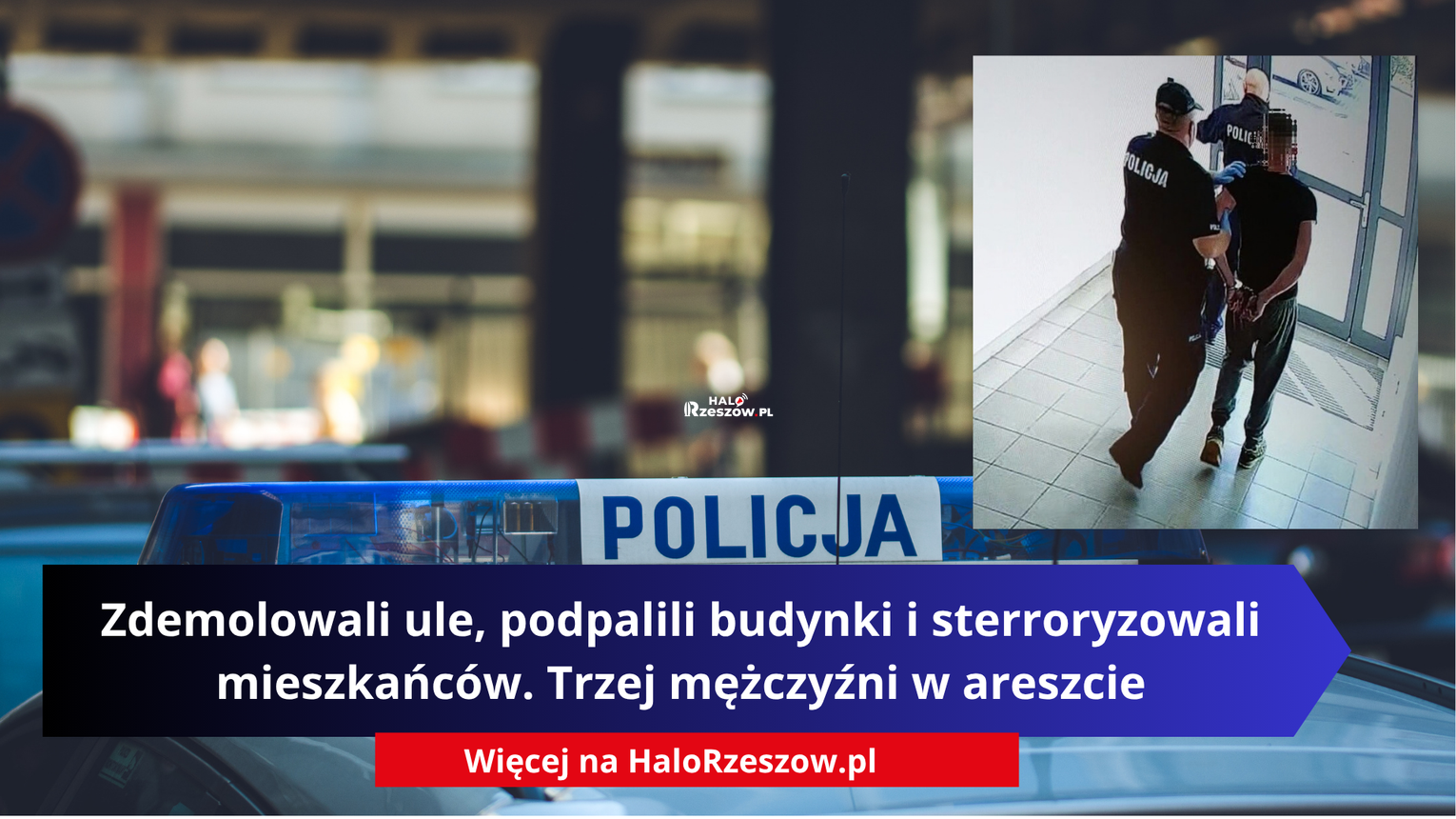 Zdemolowali ule, podpalili budynki i sterroryzowali mieszkańców. Trzej mężczyźni w areszcie