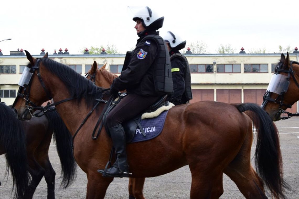 82-latka wyszła na spacer i zgubiła się w lesie. Odnaleźli ją policjanci