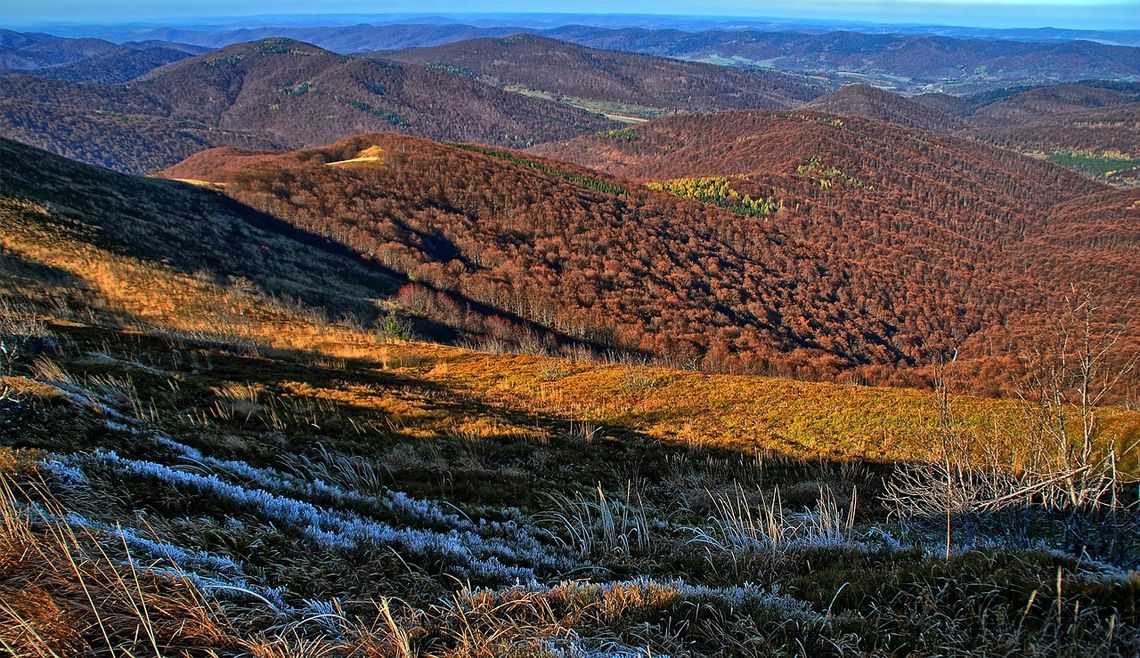 Agrobieszczady 2024. Jakie atrakcje czekają na nas w tym roku?