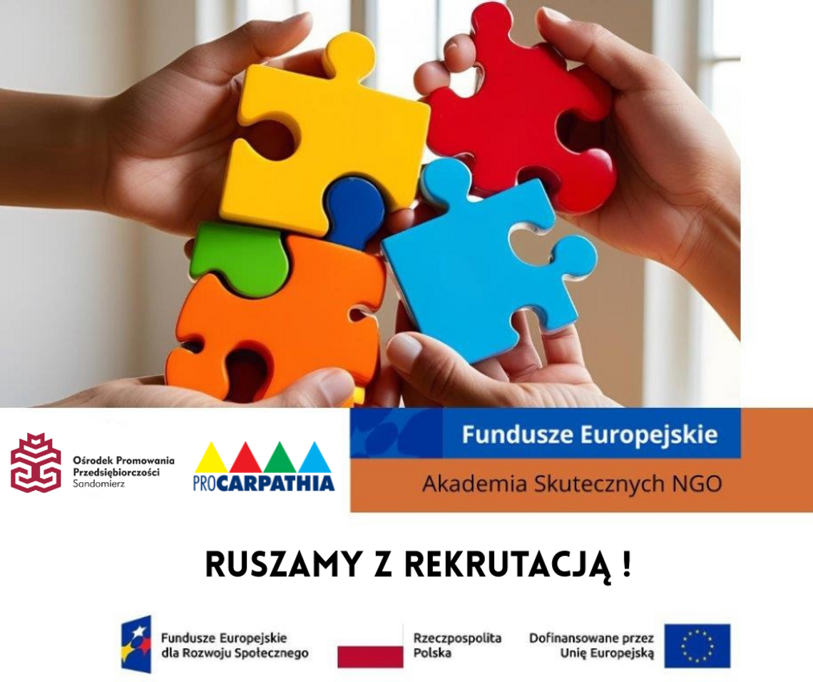 Akademia Skutecznych NGO - Kompleksowe wsparcie dla organizacji pozarządowych