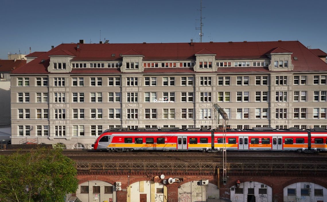 Bilet dla psa, transporter dla kota. Co warto wiedzieć przed podróżą pociągiem? Podróż ze zwierzętami pociągiem POLREGIO