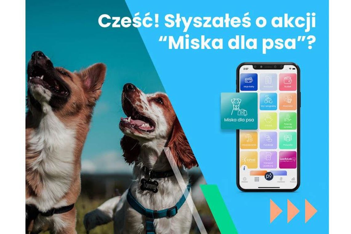 „Bilet kupujesz, miskę fundujesz”, czyli akcja miska dla psa