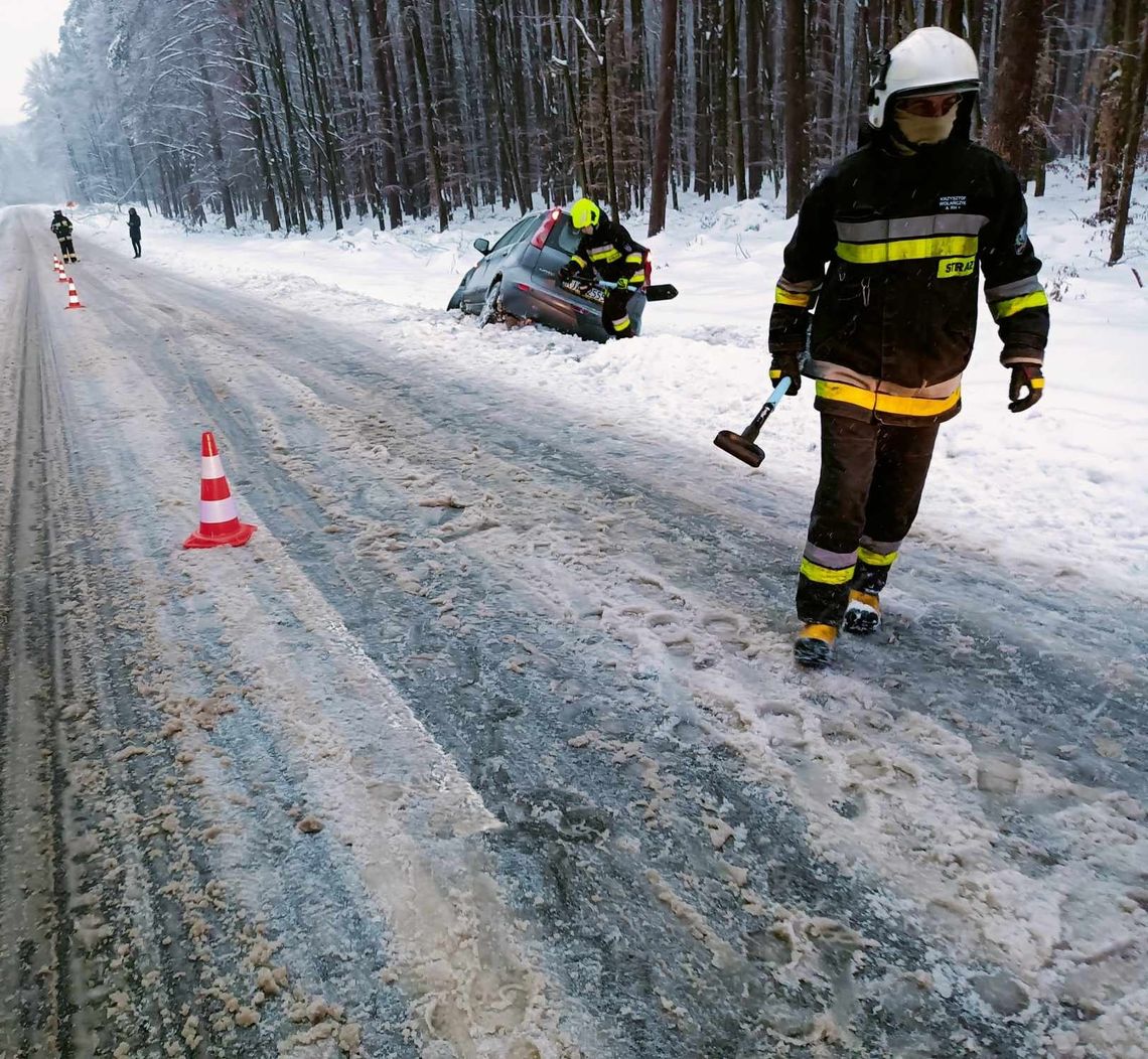 Blisko 300 interwencji strażaków po ataku zimy. Apel o usuwanie śniegu z dachów [ZDJĘCIA]