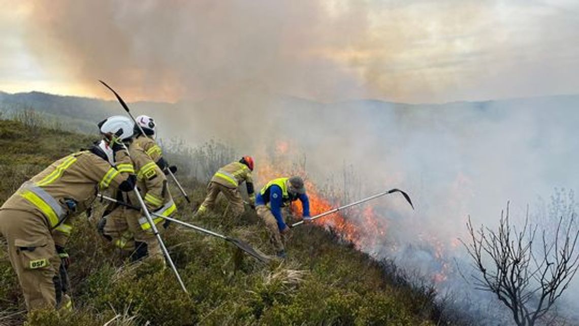 Czarna seria pożarów!  Płonie Bukowe Berdo