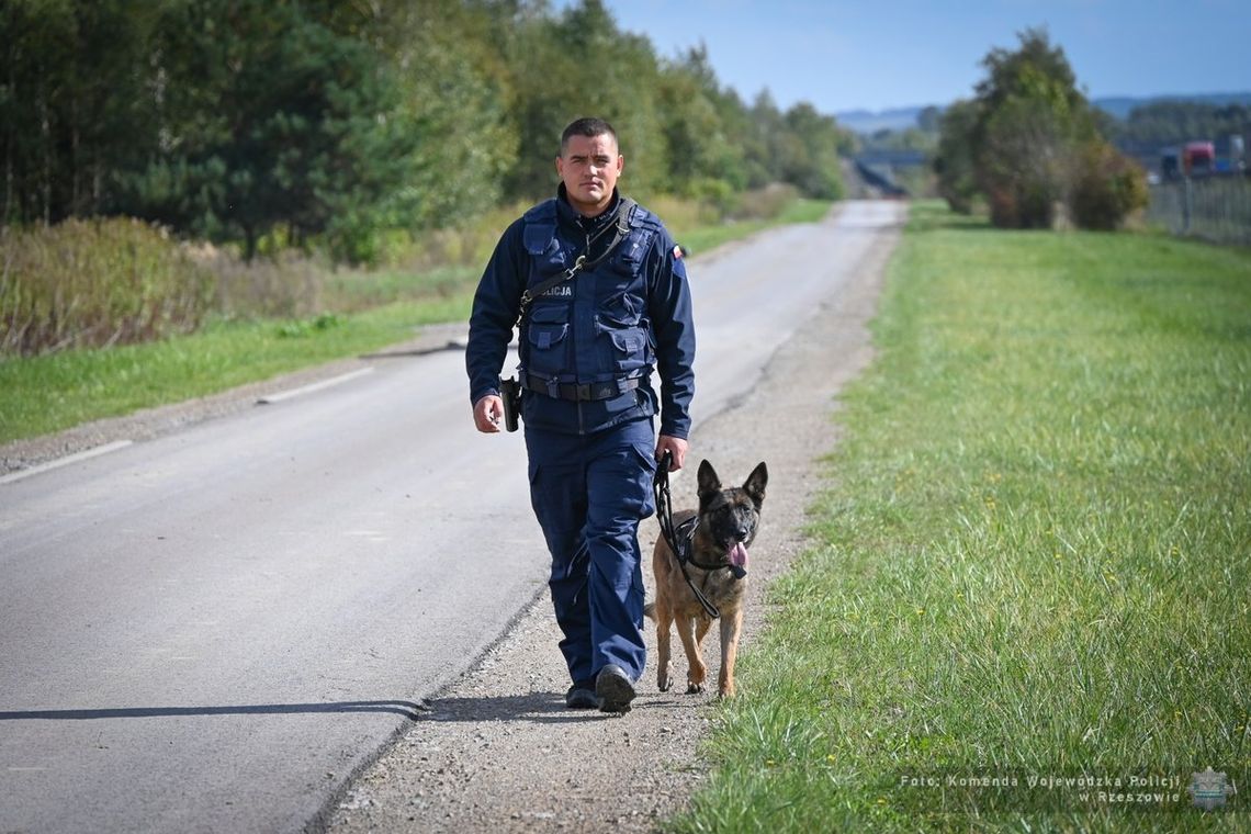 Czworonożni policjanci z Podkarpacia zdali egzamin na szóstkę! [WIDEO]