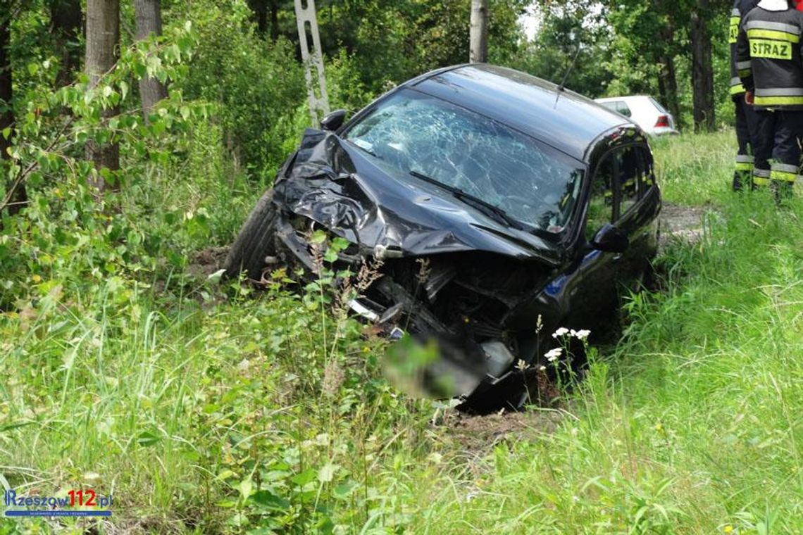 DK 94. Auto zderzyło się z sarną i wjechało do rowu