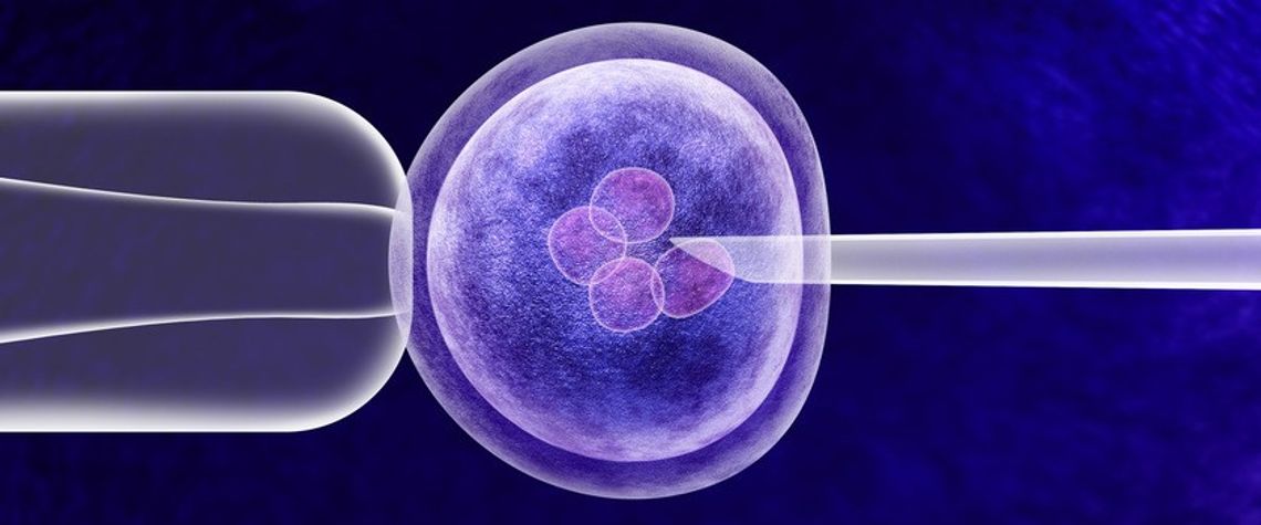 Dofinansowanie do in vitro dla mieszkańców Rzeszowa