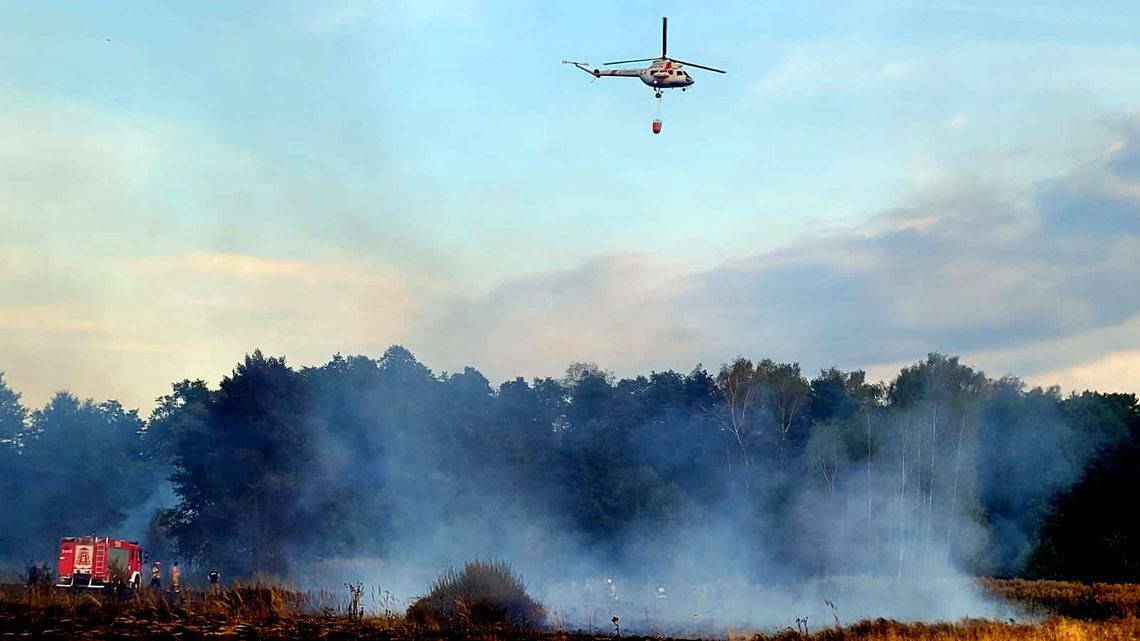 Duży pożar lasu na Podkarpaciu. Z ogniem walczą strażacy, Dromader i helikopter