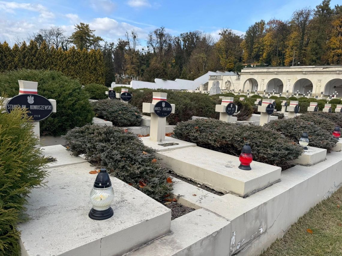 Dziesiątki tysięcy zniczy zapłonęło w akcji Światełko Pamięci dla Cmentarza Łyczakowskiego Dziesiątki tysięcy zniczy zapłonęło w akcji Światełko Pamięci dla Cmentarza Łyczakowskiego