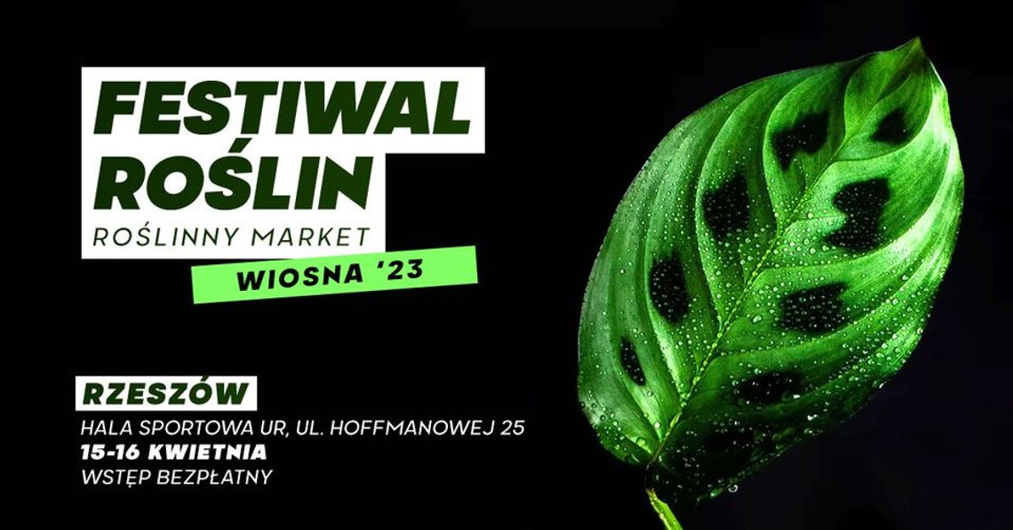 Festiwal Roślin w Rzeszowie - wielki market roślin