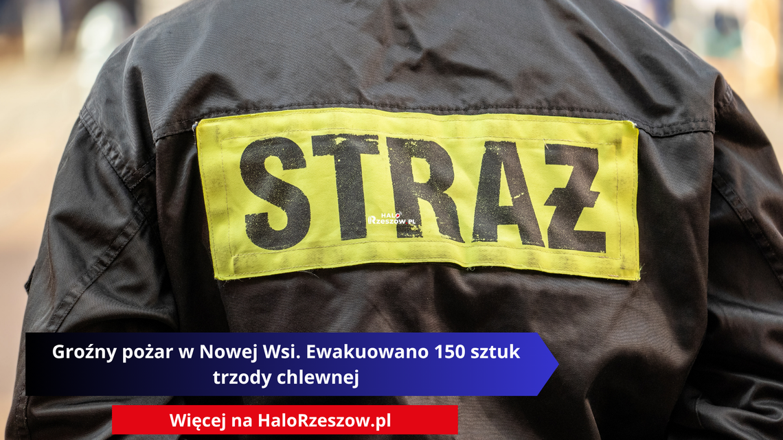 Groźny pożar w Nowej Wsi. Ewakuowano 150 sztuk trzody chlewnej Groźny pożar w Nowej Wsi. Ewakuowano 150 sztuk trzody chlewnej
