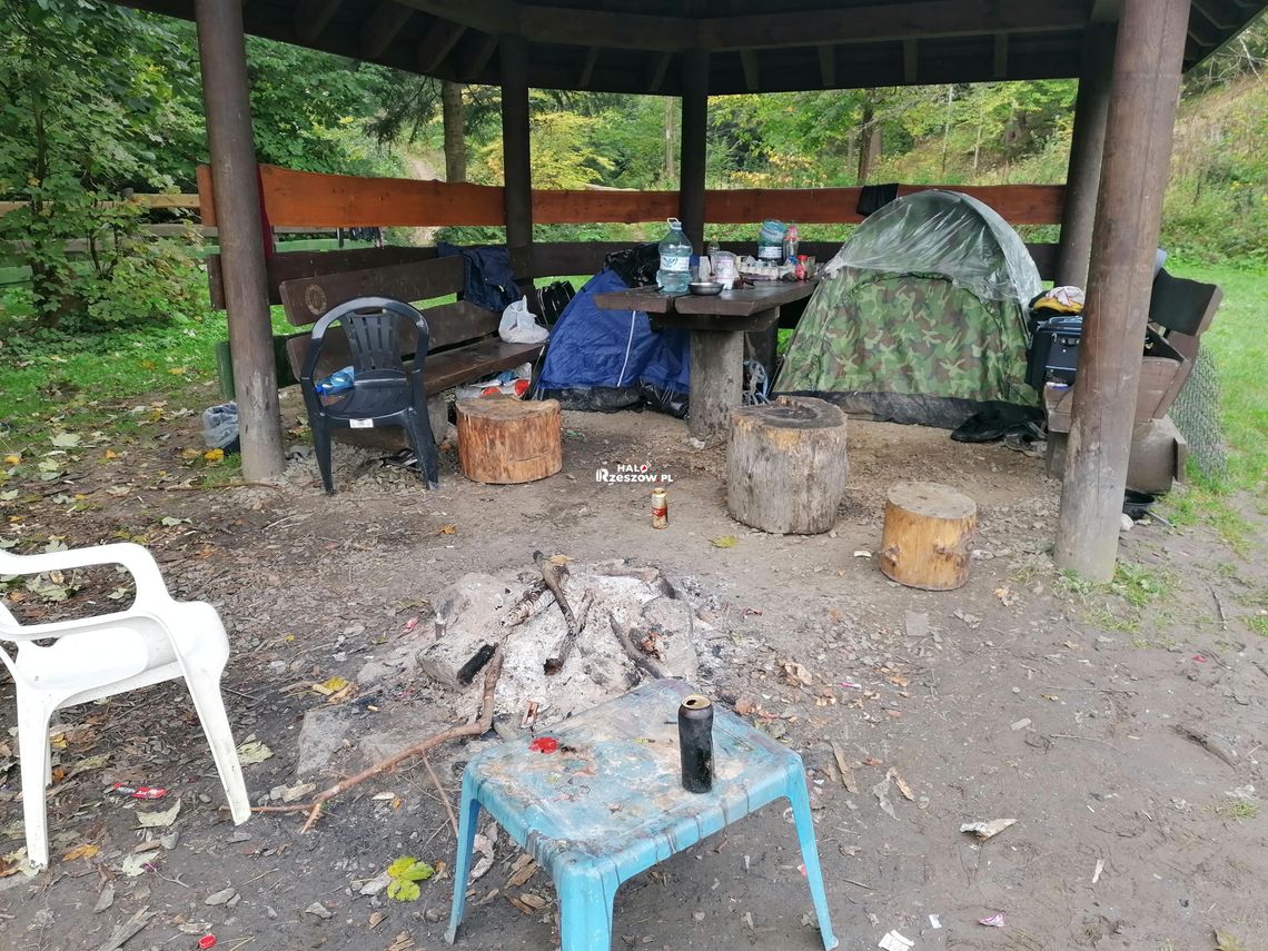 Grzybiarze z Rumunii w podkarpackich lasach. Leśnicy nie potwierdzają doniesień o groźbach Grzybiarze z Rumunii w podkarpackich lasach. Leśnicy nie potwierdzają doniesień o groźbach