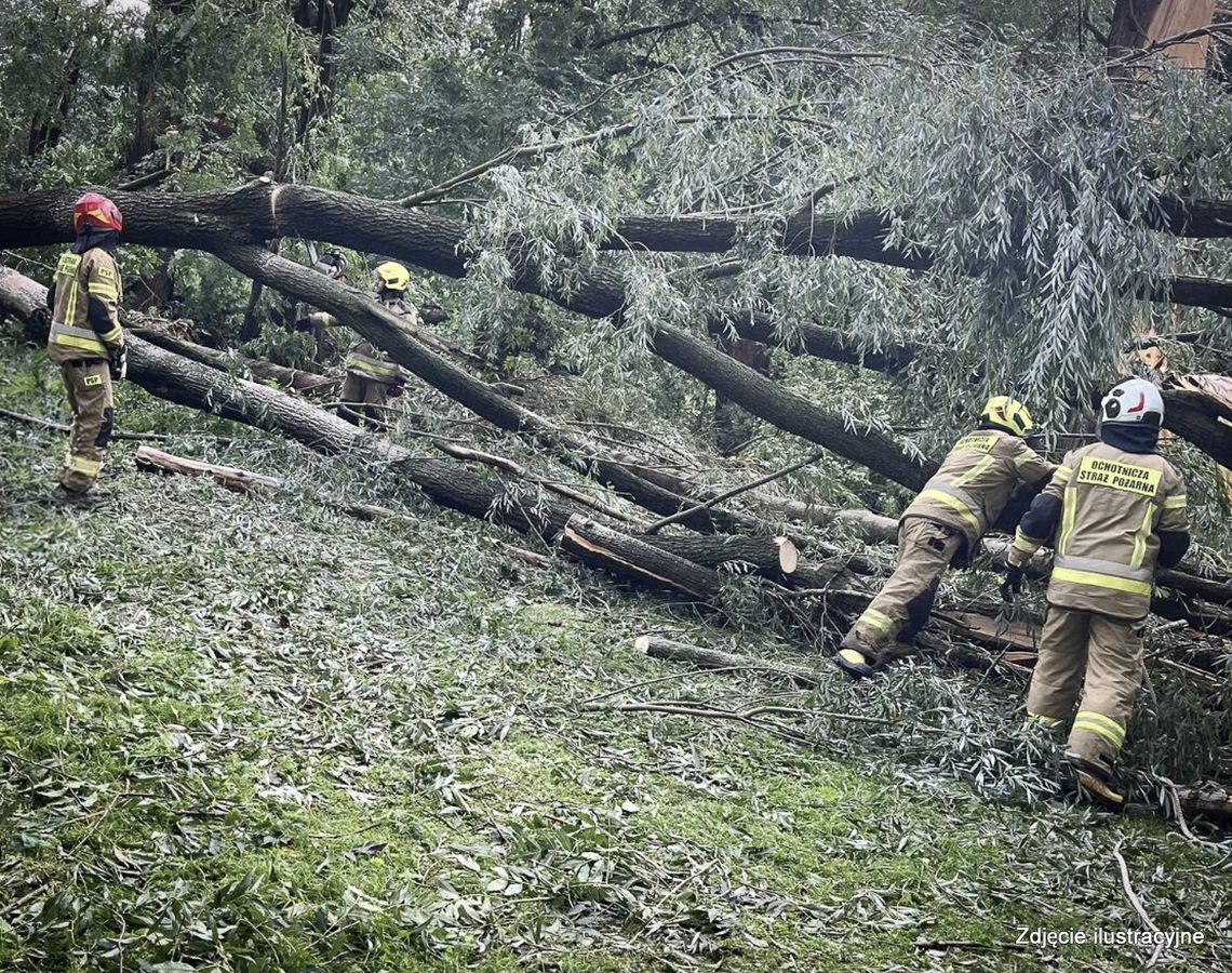 Interwencje strażaków i zerwane linie energetyczne po dwugodzinnej burzy