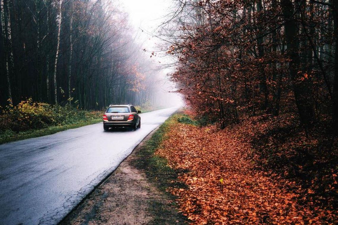 Jesień na podkarpackich drogach. Policja: zachowajcie ostrożność