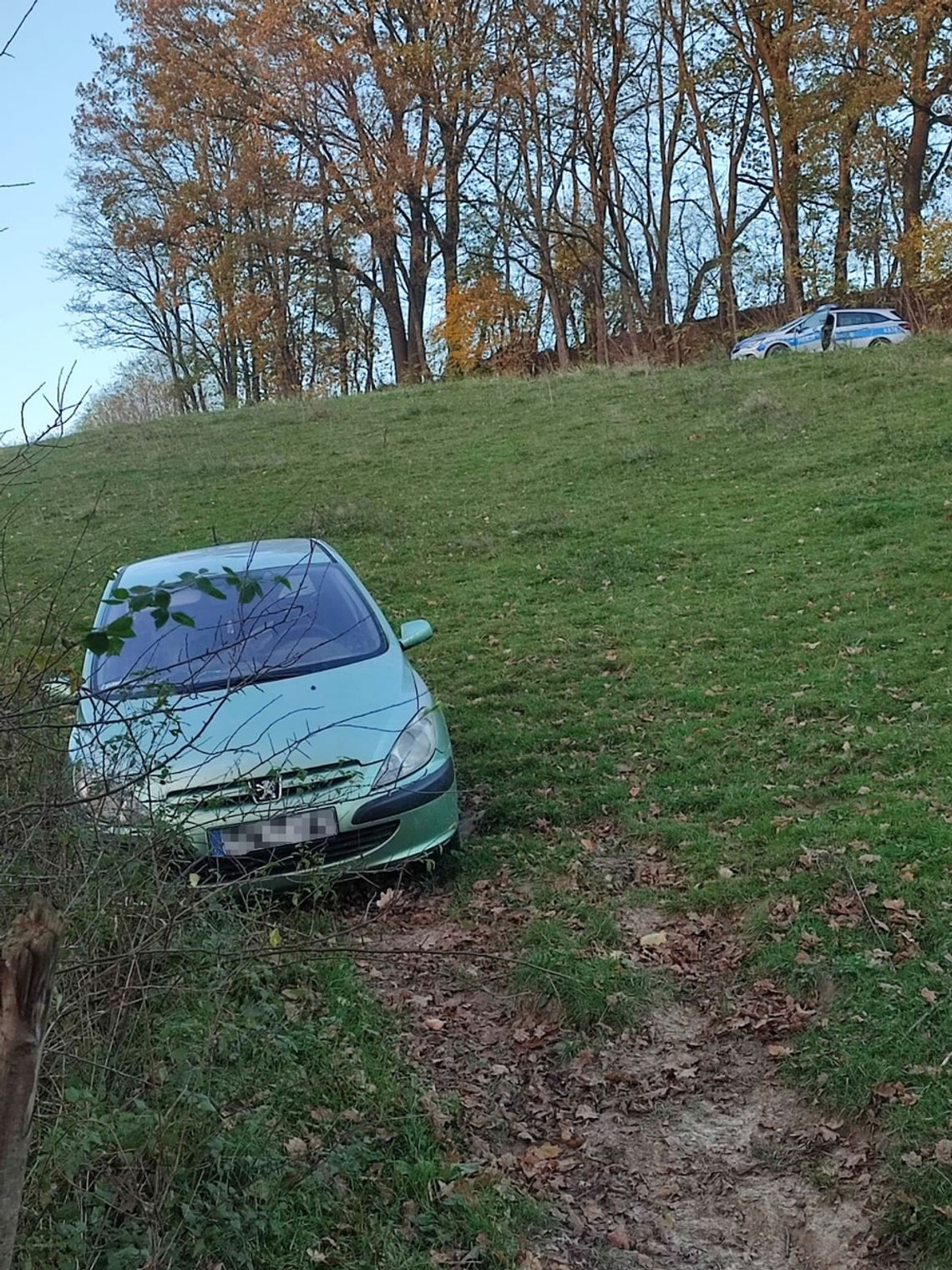 Kierowca peugeota uciekał przed policją, wjechał na łąkę i porzucił samochód