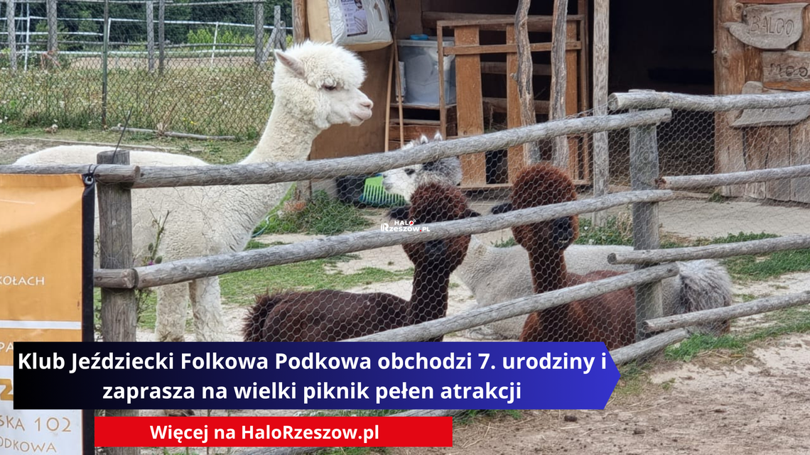 Klub Jeździecki Folkowa Podkowa obchodzi 7. urodziny i zaprasza na wielki piknik pełen atrakcji Klub Jeździecki Folkowa Podkowa obchodzi 7. urodziny i zaprasza na wielki piknik pełen atrakcji