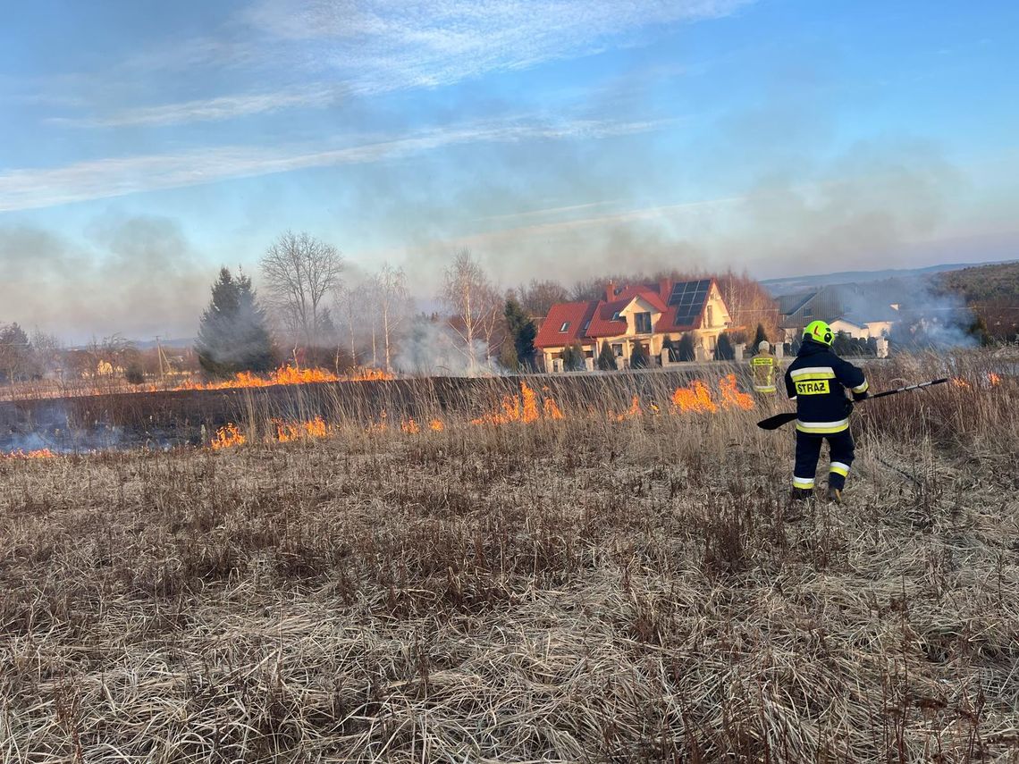 Kolejny pożar trawy. Tym razem w Czerwonkach