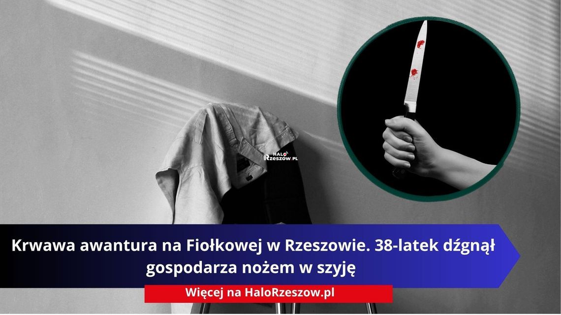Krwawa awantura na Fiołkowej w Rzeszowie. 38-latek dźgnął gospodarza nożem w szyję Krwawa awantura na Fiołkowej w Rzeszowie. 38-latek dźgnął gospodarza nożem w szyję