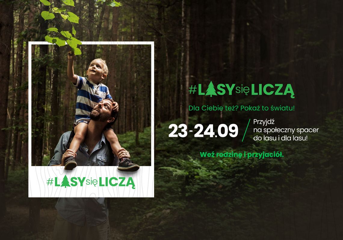 #LasySięliczą. W weekend ogólnopolska akcja społeczników ws. przyszłości lasów