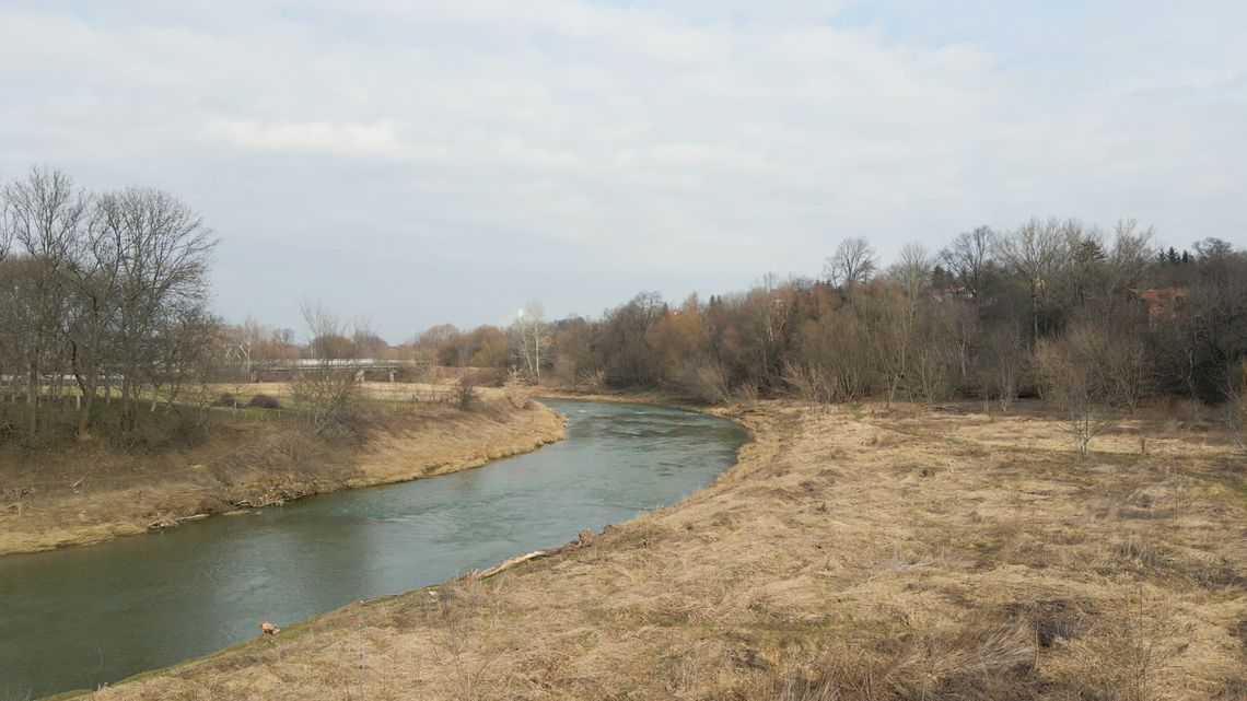 Lewy brzeg Wisłoka wyłącznie pod zieleń i rekreację?