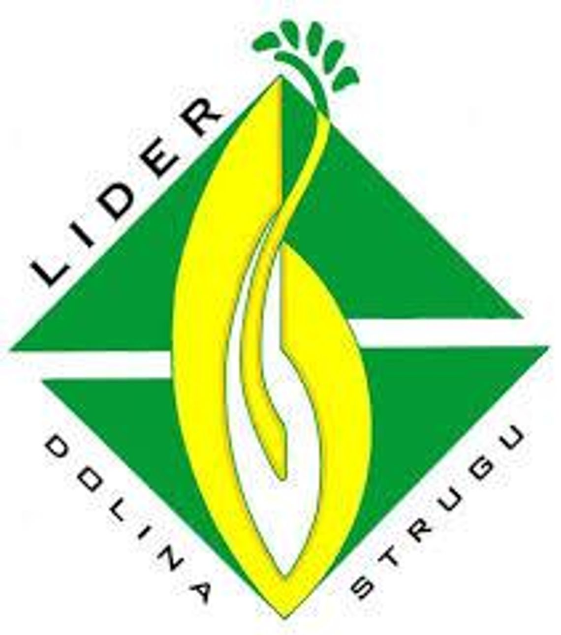 LGD "Lider - dolina Strugu" aktualizuje lokalną strategie rozwoju