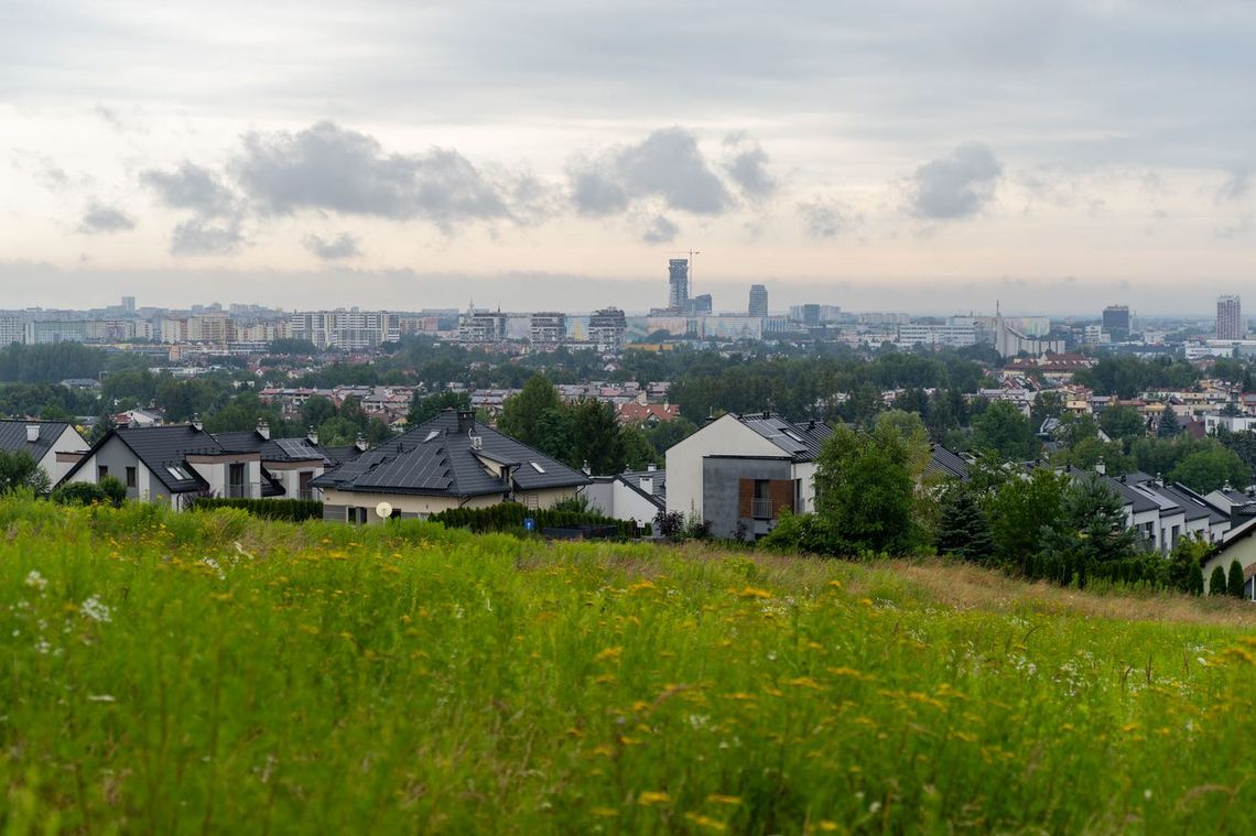 Miasto ma pomysł. Na Zalesiu powstanie park dendrologiczny