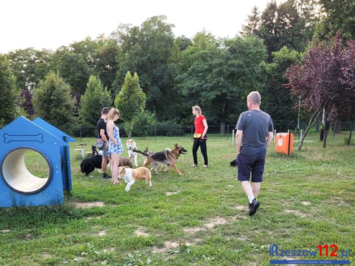 Na os. Baranówka w Rzeszowie powstanie psi park