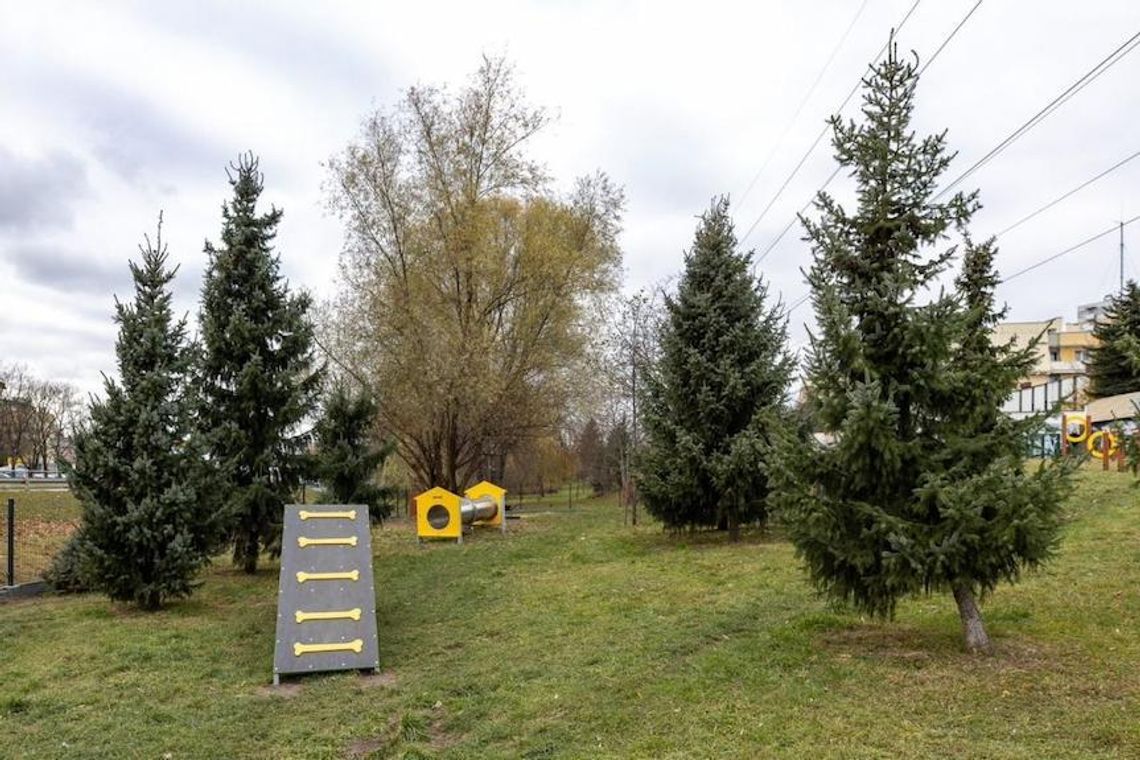 Na osiedlu Baranówka w Rzeszowie powstanie psi park