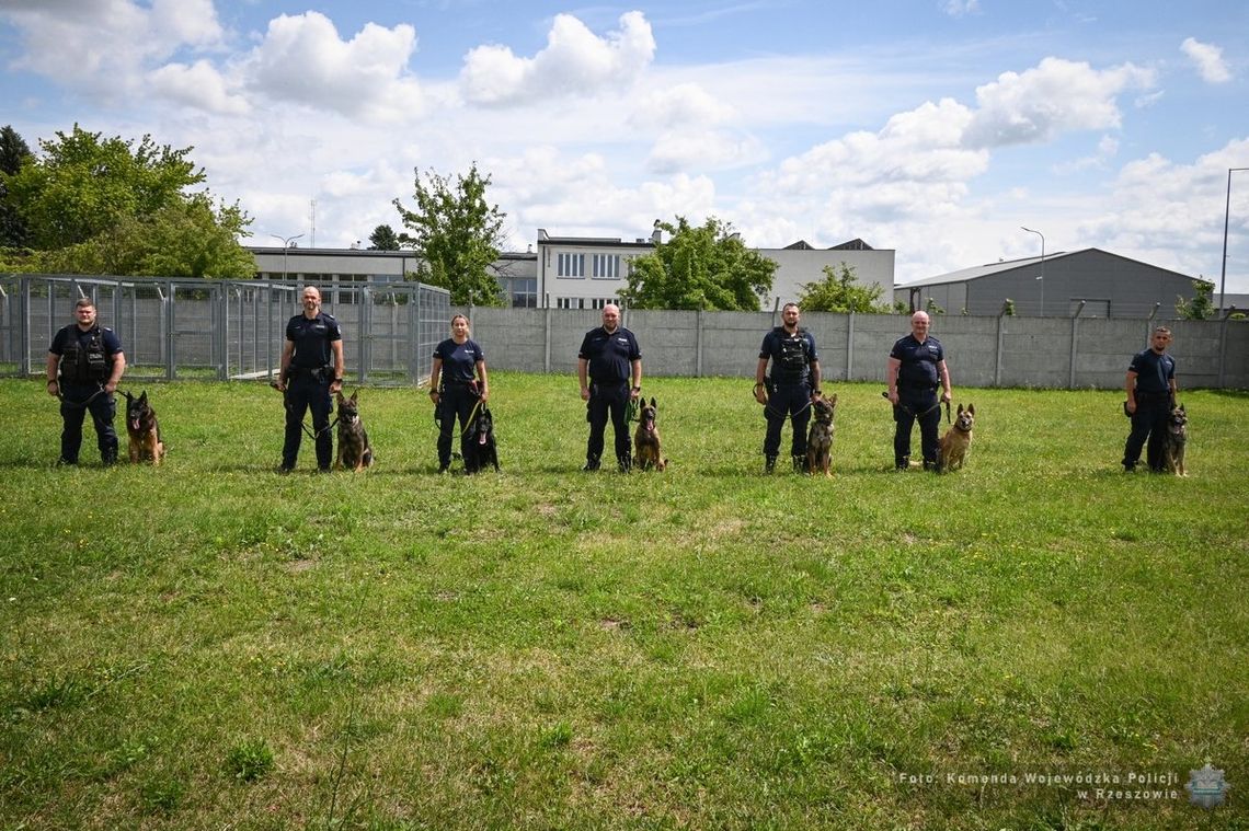 Najlepsze policyjne psy w regionie. Za nami wojewódzkie eliminacje do Kynologicznych Mistrzostw Policji