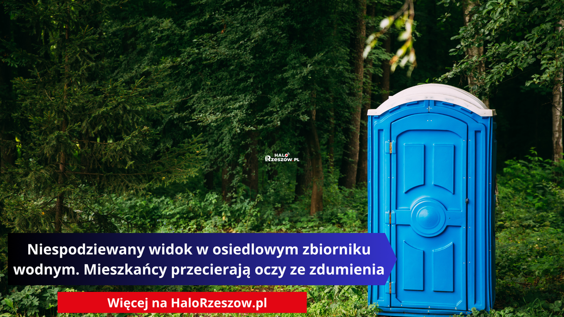 Niespodziewany widok w osiedlowym zbiorniku wodnym. Mieszkańcy przecierają oczy ze zdumienia