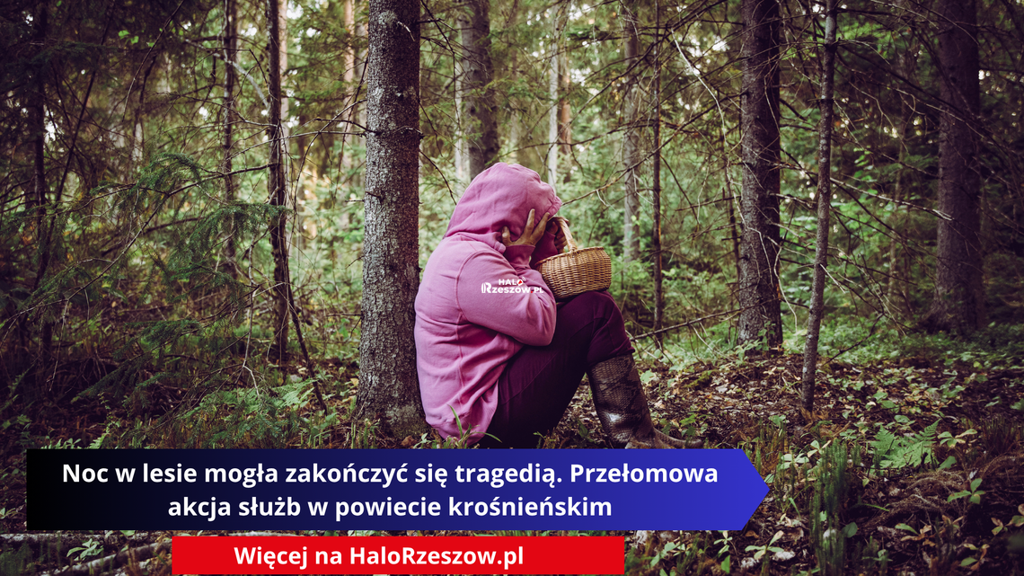 Noc w lesie mogła zakończyć się tragedią. Przełomowa akcja służb w powiecie krośnieńskim