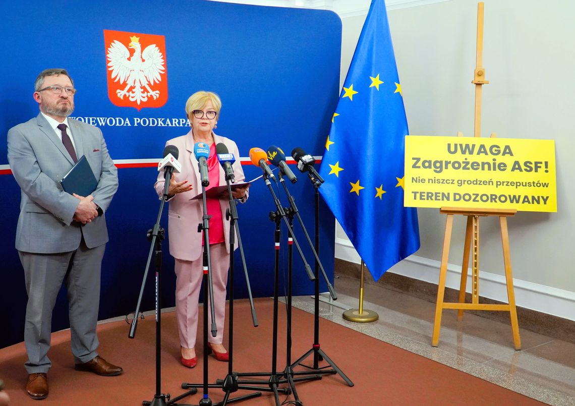 Nowe ognisko ASF pod Rzeszowem! Wirus wykryty przy A4 i S19 w gminie Trzebownisko [RAPORT]