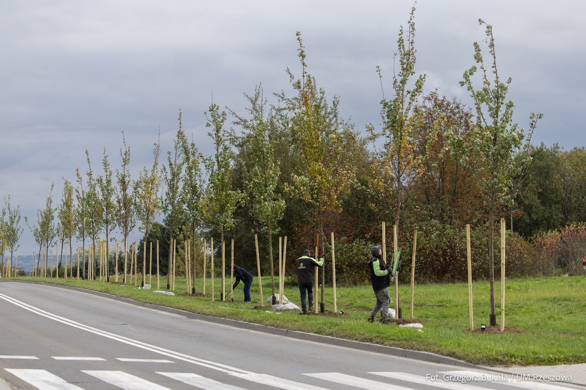 Nowy park kieszonkowy przy ul. Bydgoskiej w Rzeszowie