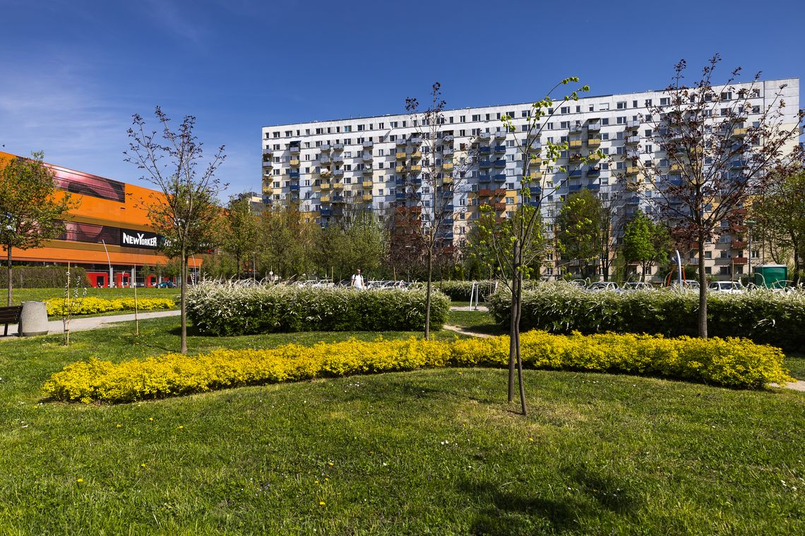 Nowy park na Nowym Mieście w Rzeszowie. Zielona oaza dla mieszkańców