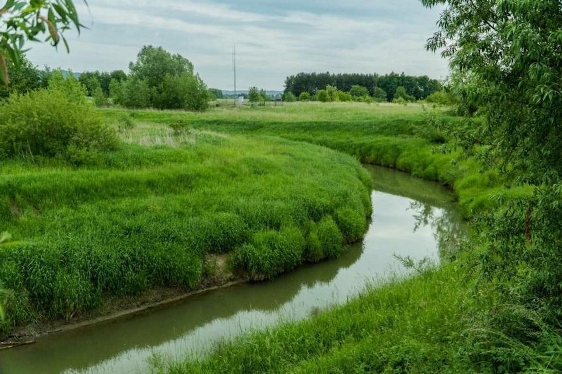 Ochrona Białej, Budziwoja oraz Matysówki przed powodziami. Co z tym zrobić?