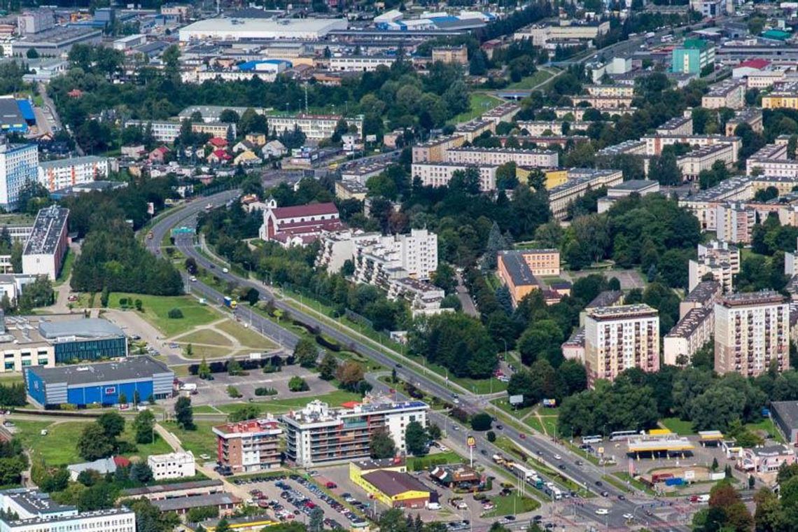 Oświadczenie ws. wycinki drzew przy ul. Dominikańskiej w Rzeszowie