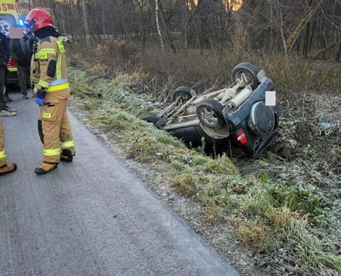 Pies sprawcą groźnego wypadku w Piątkowej