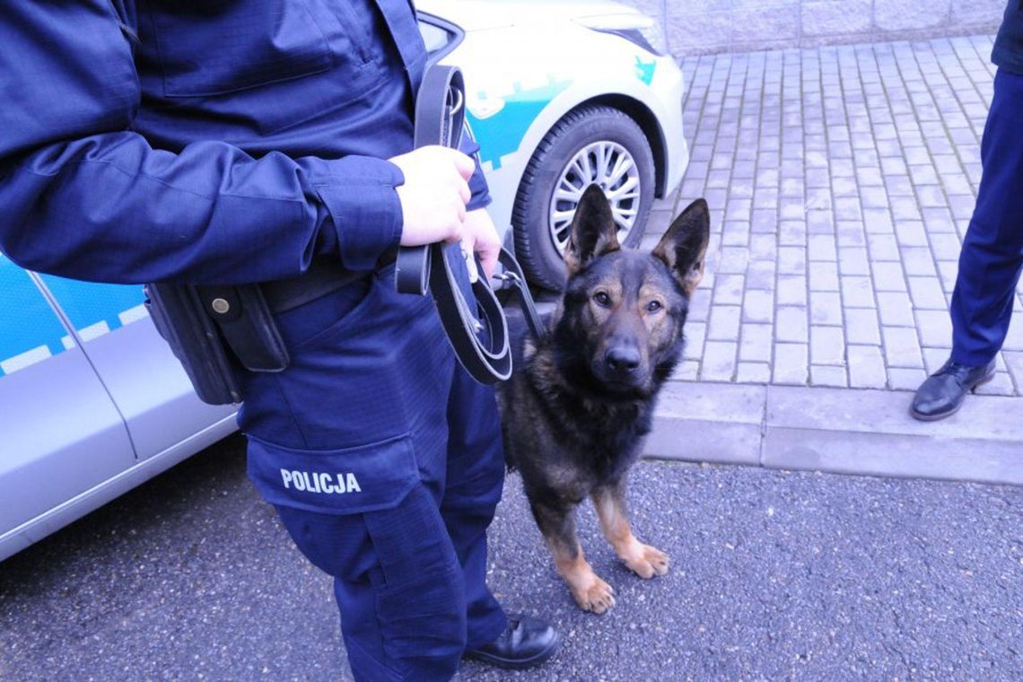 Pijanego sprawcę kolizji znalazł na strychu pies tropiący