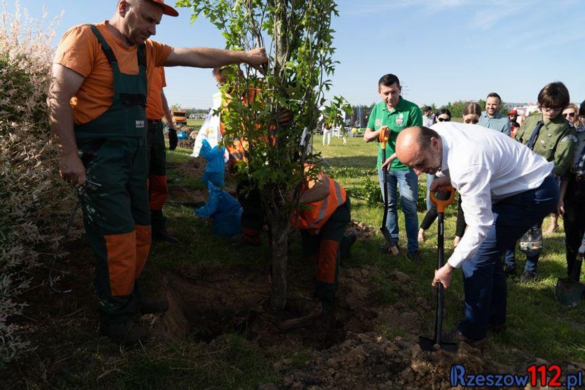 Piknik Ekologiczny w Rzeszowie "Nasze korzenie: sprzątanie i sadzenie"