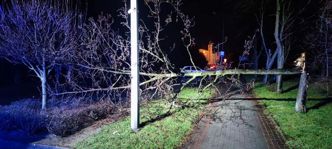 Podkarpackie. Coraz więcej interwencji strażaków z powodu silnego wiatru