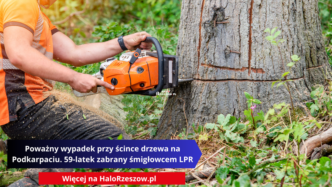 Poważny wypadek przy ścince drzewa na Podkarpaciu. 59-latek zabrany śmigłowcem LPR Poważny wypadek przy ścince drzewa na Podkarpaciu. 59-latek zabrany śmigłowcem LPR