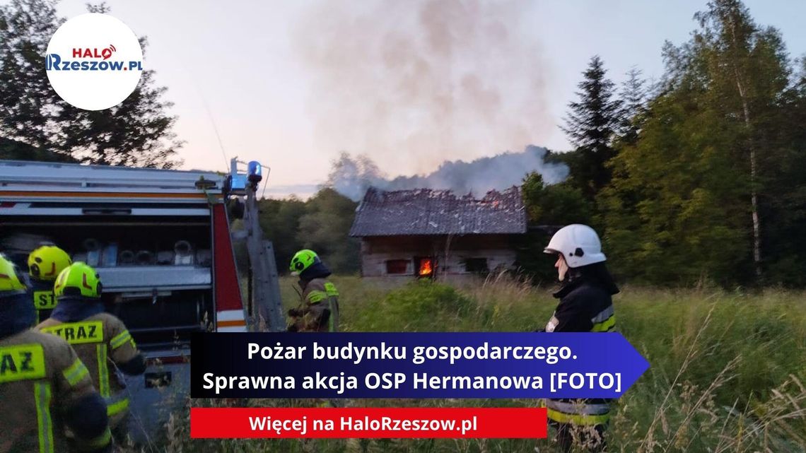 Pożar budynku gospodarczego. Sprawna akcja OSP Hermanowa [FOTO]