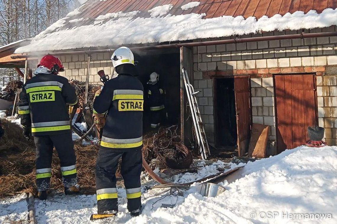 Pożar budynku gospodarczego w Borku Starym