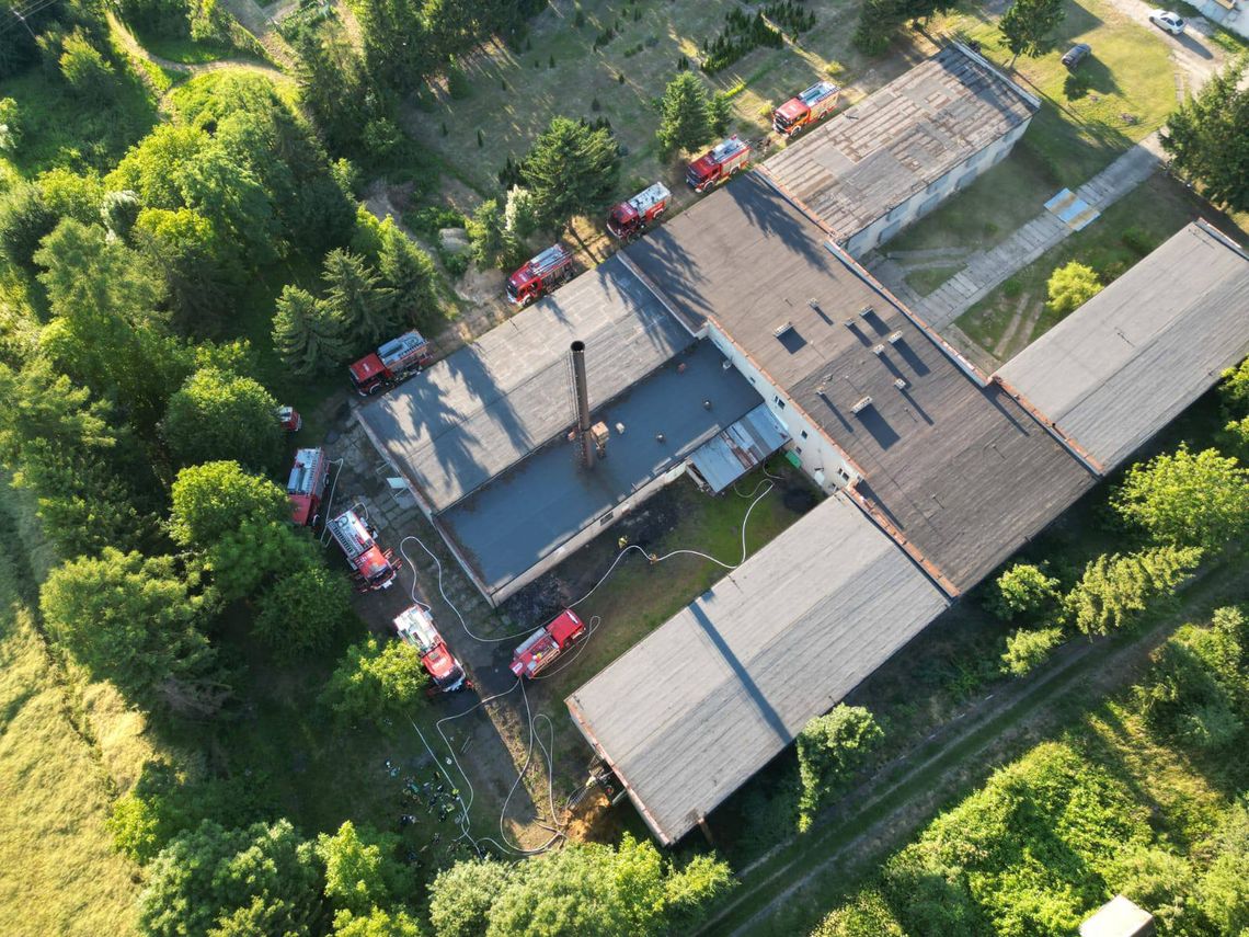 Pożar kurnika w Głuchowie. Strażacy uratowali tysiące kur